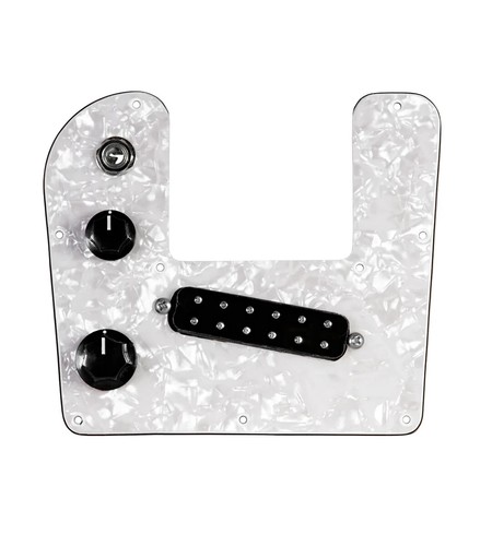 920d custom loaded pickguard - loaded,